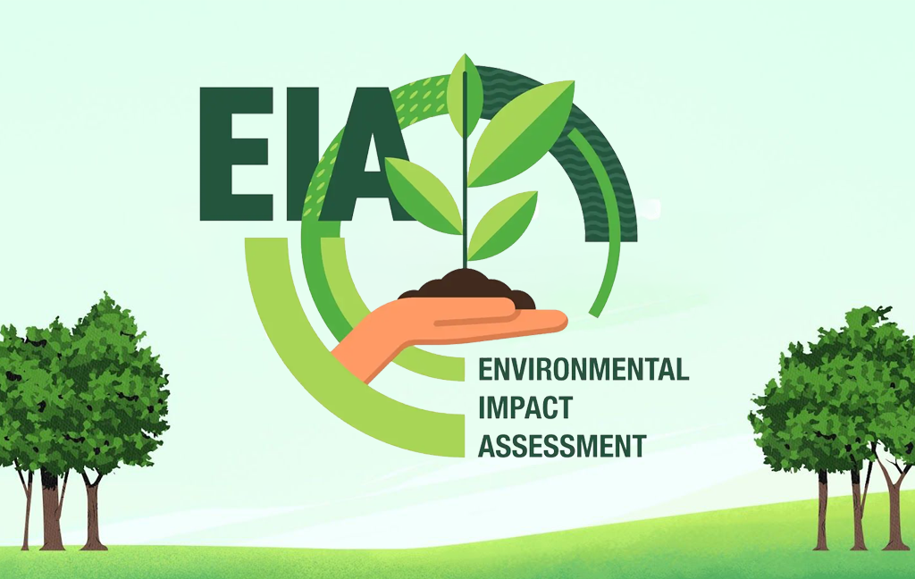 Environmental Impact Assessment (EIA)